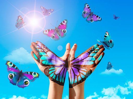 Curso Técnica Metamórfica Online